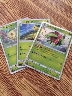ポケモンカード SM8 メガニウム 進化セットのサムネイル
