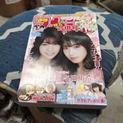 少年マガジン/西野七瀬、与田祐希(2017.8.23・30)No.36・37 乃木坂46西野七瀬＆与田祐希、白黒ドレスで華やか2ショット「美少女お