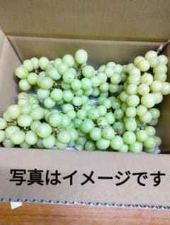 ※説明文確認の上検討下さい　加工用　訳あり　シャインマスカット房　箱抜き3キロ超 - 4