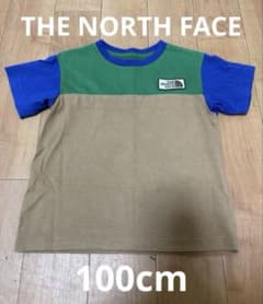 THE NORTH FACE カラーブロック Tシャツのサムネイル