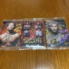 RIZIN トレーディングカード 3枚セット 朝倉未来 平本蓮のサムネイル