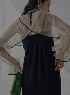MANY WAY AIRY VEIL DRESSのサムネイル