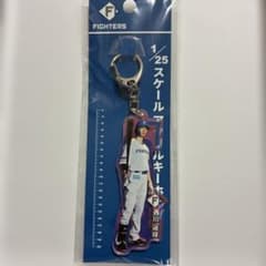 日本ハム　ファイターズ　アクリル　キーホルダー　1／25スケール　野球　セット 推し活＆推しアピールできる「推しバッグ」＆選手イラストアクリル