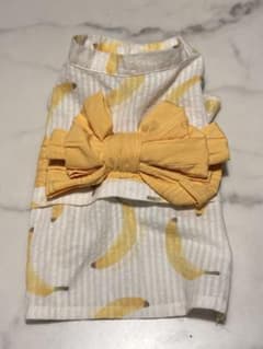 【美品】GELATO PIQUE ジェラートピケ　犬服 浴衣　夏 Mサイズのサムネイル