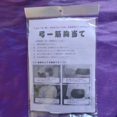弓道胸当て新品未使用　八角　 レアなタイプのサムネイル