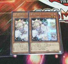 遊戯王 灰流うらら シークレット 2枚のサムネイル