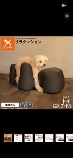 OneAidリラクッション　トイプードル用　ワンエイド　アロン化成　犬介護のサムネイル