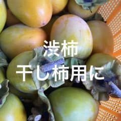 渋柿　干し柿用　露地栽培のサムネイル