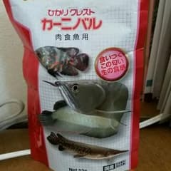 ✨ひかりクレスト    カーニバル✨肉食魚用のサムネイル