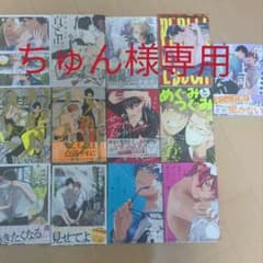 BLコミックまとめ売り  13冊のサムネイル