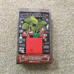 いちご 育成キットのサムネイル