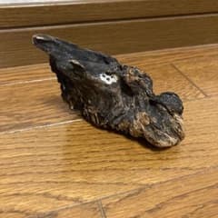 流木(瀬戸内海) m50948639371_1.jpg?1630054629