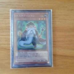 遊戯王 マスマティシャン コレクターズのサムネイル