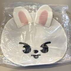 Stray kids 新品 リービット うちわカバーのサムネイル