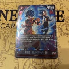 m50961487583_1.jpg?1773504083