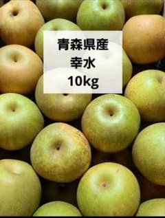 青森県産 梨 和梨 幸水 10kg 箱込みのサムネイル