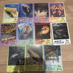 鳥羽水族館 TOBA AQUARIUM コレクションカード トレカ 70周年 - メルカリ