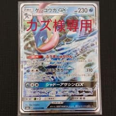 【カズ様専用】ゲッコウガGXのサムネイル