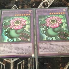 捕食植物キメラフレシア2枚セットC!のサムネイル
