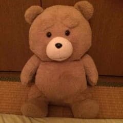 ☆優様専用 TED ぬいぐるみのサムネイル