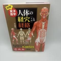 図解】東洋医学 人体の経穴(ツボ)と経絡 - メルカリ