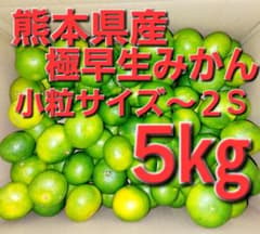 熊本県産極早生みかん 小粒サイズ～２S 5㎏のサムネイル