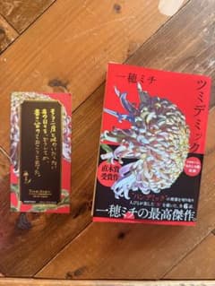 ツミデミック 一穂ミチ　文庫本のサムネイル
