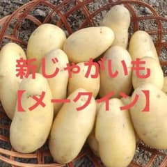 新じゃがいも【メークイン】農薬不使用　宅急便コンパクト発送のサムネイル