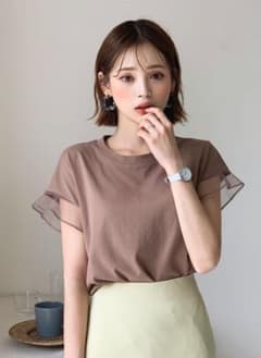 韓国ファッション メッシュスリーブティシャツ ブラウン　デイホリックのサムネイル