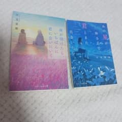 汐見夏衛 小説 2冊セットのサムネイル