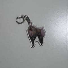 猿 アクリルキーホルダーのサムネイル