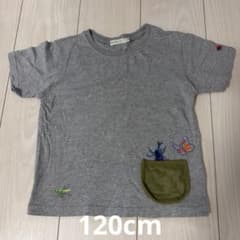 BEAMS キッズ 半袖Tシャツ 120cm 昆虫柄のサムネイル