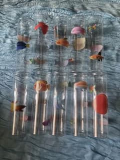 プラスチック製円柱型フラワーベース 10本セット（熱帯魚、魚のシールつき）のサムネイル