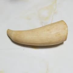 わっし様 専用のサムネイル