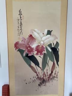 m51027094341_1.jpg?1762917118