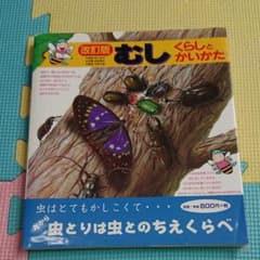 むし : くらしとかいかたのサムネイル