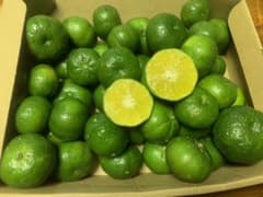 【まき様用】残り5個！種無し　シークヮサー　〜本部町伊豆味産〜のサムネイル