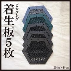 着生板 六角形 5枚セット 3色　観葉植物ビカクシダのサムネイル