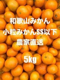 【農家直送】和歌山みかんのサムネイル