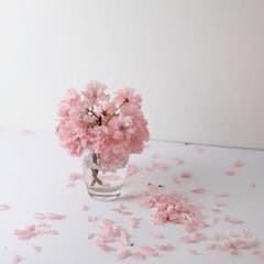 muさまご専用ページ。ありがとうございます(*^^*)のサムネイル