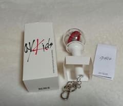 straykids ミニペンライトのサムネイル