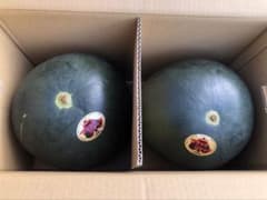 送料込み！富里産 ブラックジャック（種無し黒皮スイカ）Lサイズ 2玉 
