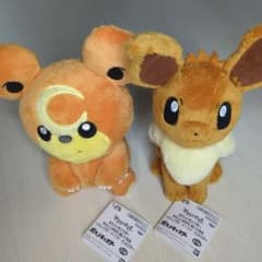 포켓몬 부드러운 기모치 봉제 장난감 이브이 히메구마 세트