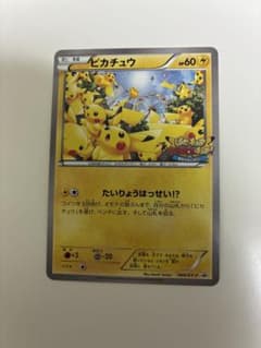 【傷あり特価】ピカチュウ たいりょうはっせい！？ PROMO 069/XY-P ピカチュウ 大量発生 たいりょうはっせい プロモ 未開封 069/xy-p 1枚