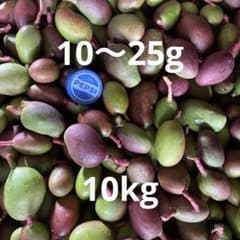 摘果マンゴー　10〜25g 10kgのサムネイル