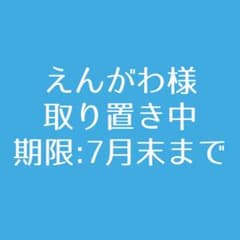 プロジェクトセカイ エピカ vol.23A 鏡音レン - メルカリ