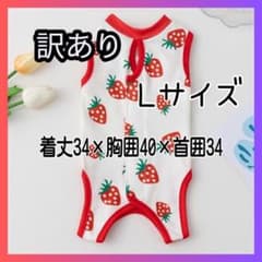 【訳あり】術後服　ペット用　猫　術後ウェア　Lサイズ　いちご柄　15-2のサムネイル