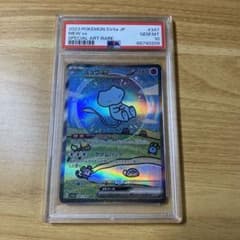 m51117517498_1.jpg?1712374827