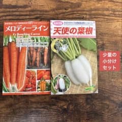 密集栽培可能な 野菜のタネ 2種類の少量セット プランター栽培可能な野菜の種 ②のサムネイル