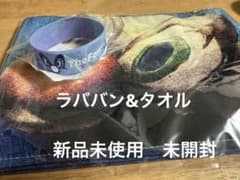 セカオワ　タオル&ハラーバンドのサムネイル